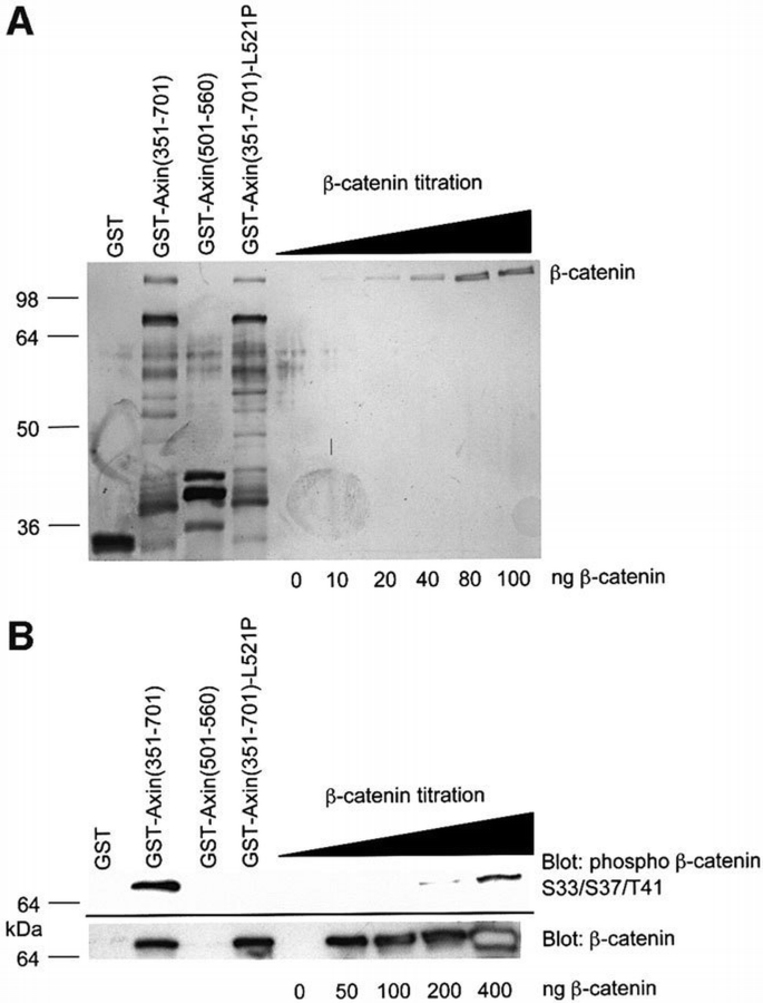 Structural basis for recruitment of glycogen synthase kinase 3β to the ...