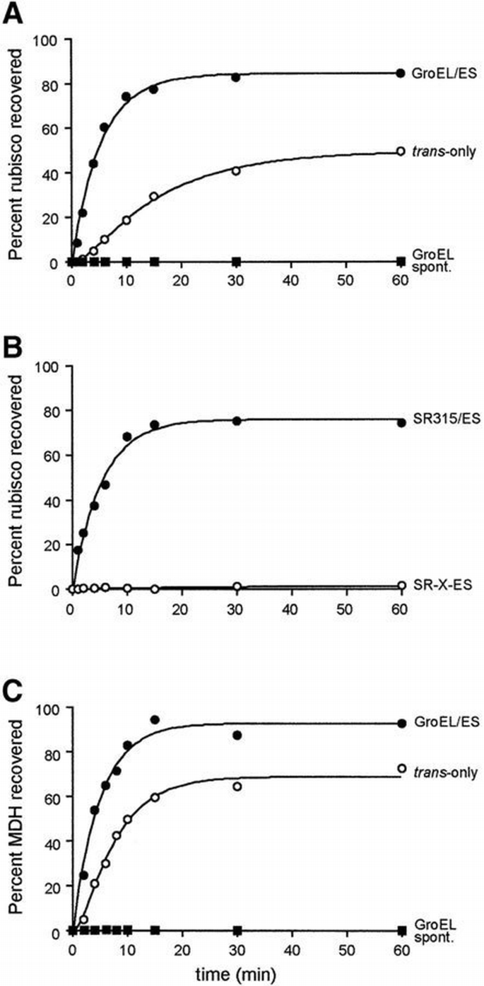 Folding with and without encapsulation by cis‐ and trans‐only GroEL ...
