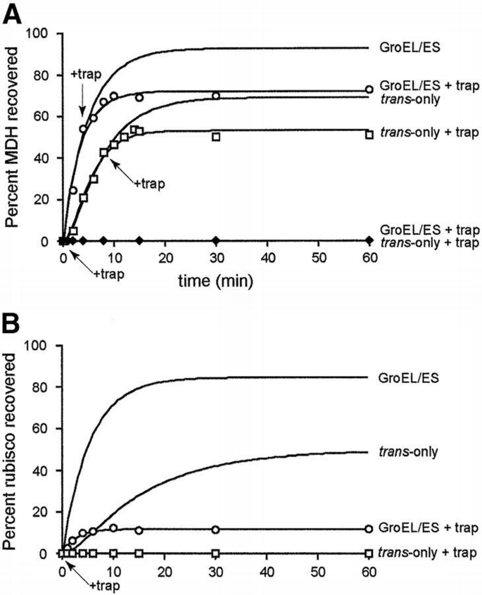 Folding with and without encapsulation by cis‐ and trans‐only GroEL ...