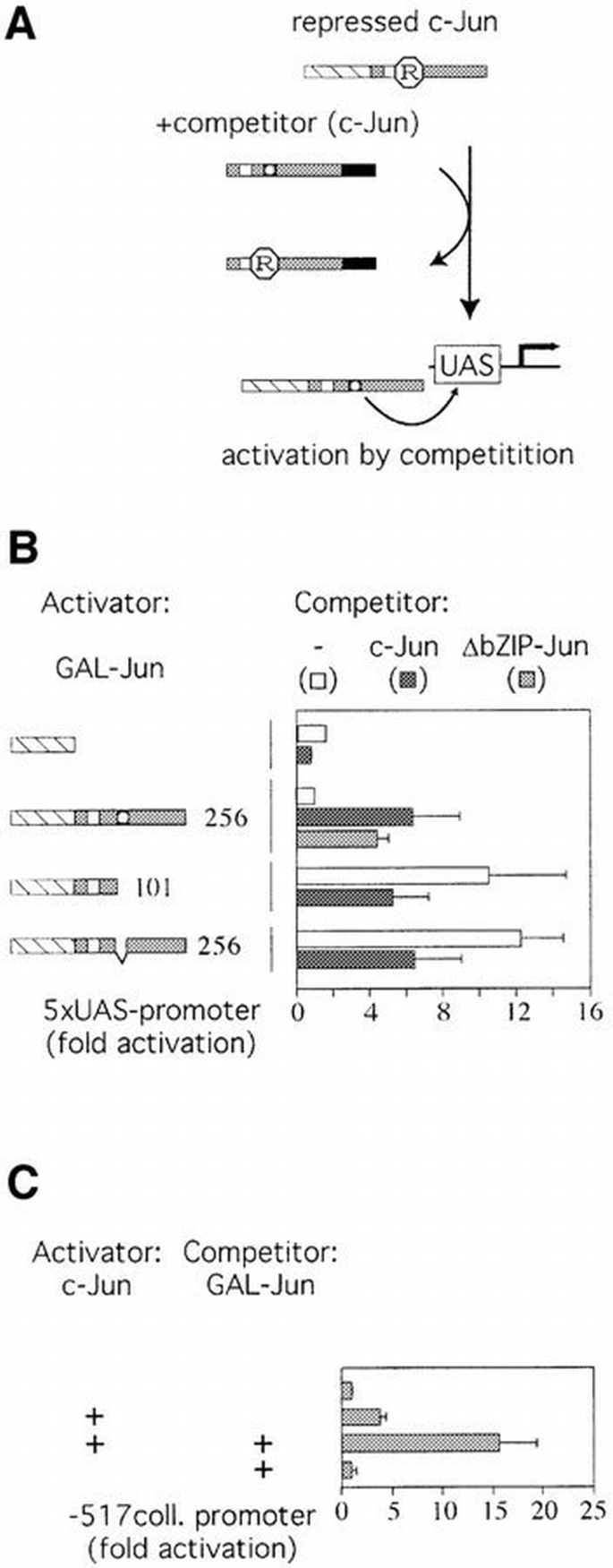 JNK phosphorylation relieves HDAC3‐dependent suppression of the ...