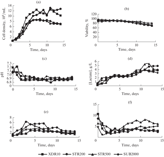 Cultivation of the CHO Cell Line in Bioreactors of Various Volumes ...
