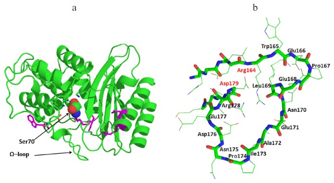 Inhibitors Of B Lactamases New Life Of B Lactam Antibiotics Springerlink Inhibitors Of B Lactamases New Life Of B Lactam Antibiotics Springerlink