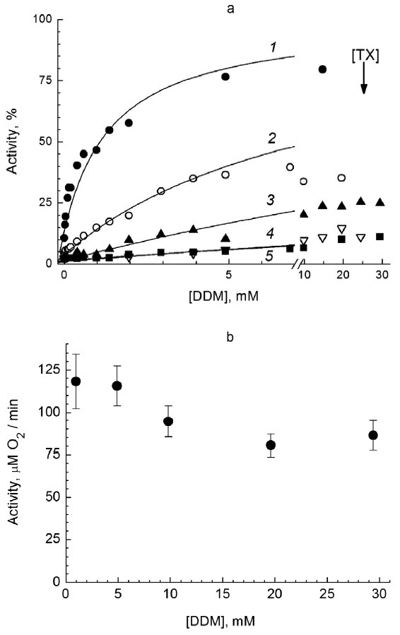 Mechanism Of Inhibition Of Cytochrome C Oxidase By Triton X 100 Springerlink