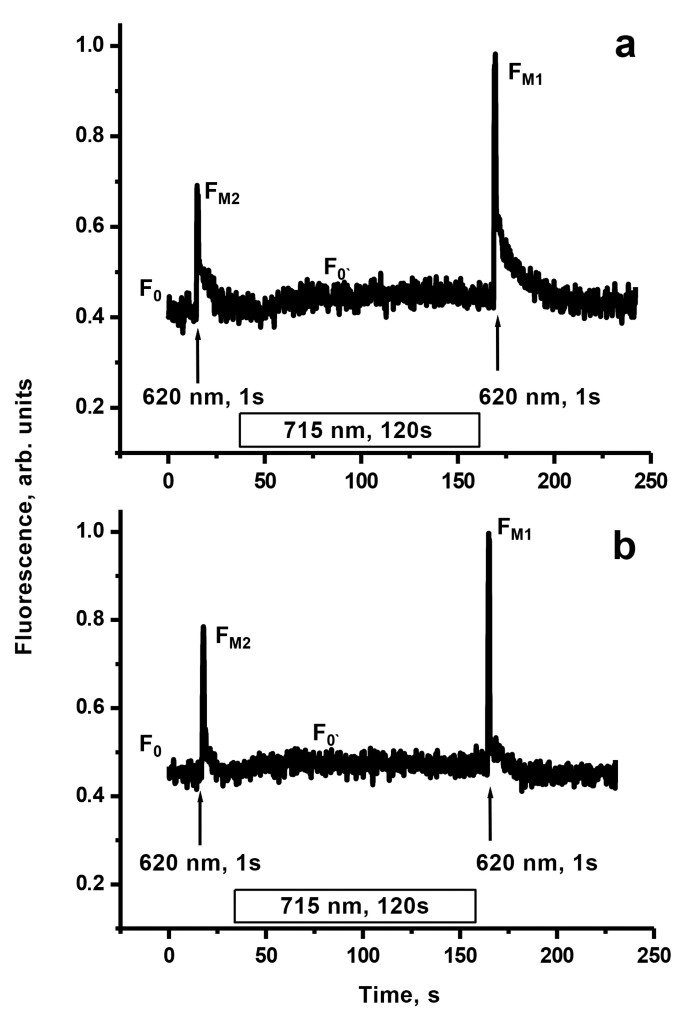 State 1 And State 2 In Photosynthetic Apparatus Of Red Microalgae And  Cyanobacteria | Springerlink State 1 And State 2 In Photosynthetic Apparatus Of Red Microalgae And  Cyanobacteria | Springerlink