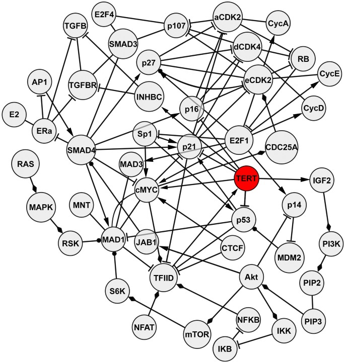 Telomere-to-mitochondria signalling by ZBP1 mediates replicative crisis