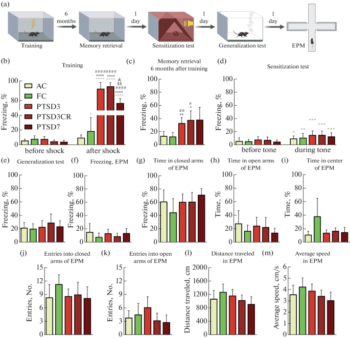 A One-Trial Mouse Model of Highly Stable Trauma-Induced Long-Term ...