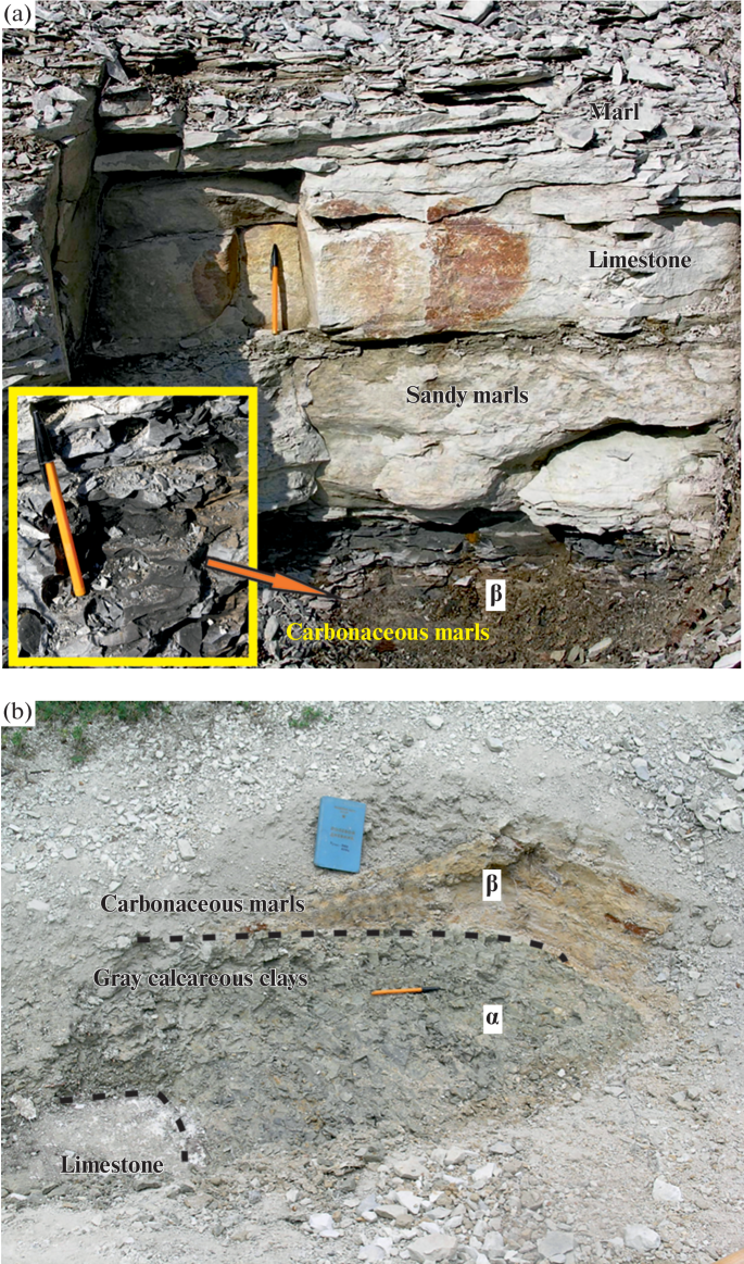 Late Cenomanian Paleoecological Event OAE 2 in the Sections of the Northern  Peri-Tethys (Crimea, Eastern Caucasus): Sediment Structure and Dynamics of  their Accumulation | Lithology and Mineral Resources