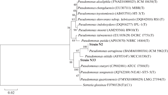 Biotransformation Of Trinitrotoluene Tnt By Newly Isolated Slight Halophilic Bacteria Springerlink