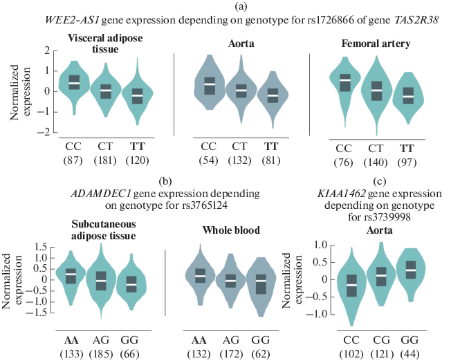 Genetic Predisposition To Early Myocardial Infarction Springerlink