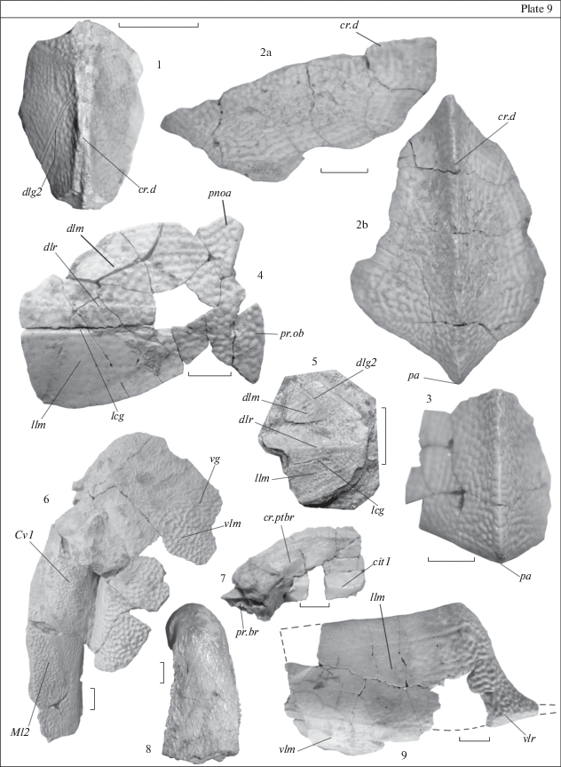 figure b