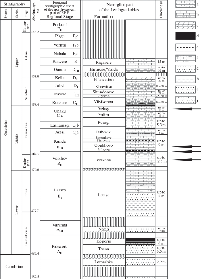 Branched Holdfasts Of Stemmed Echinoderms From The Middle Ordovician Of The Leningrad Region Springerlink