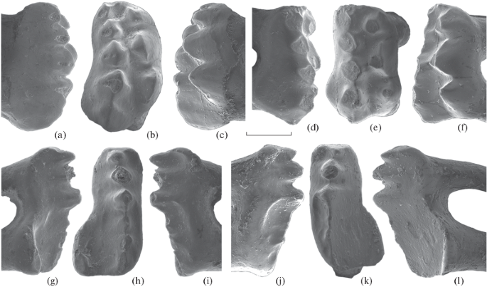 figure 25