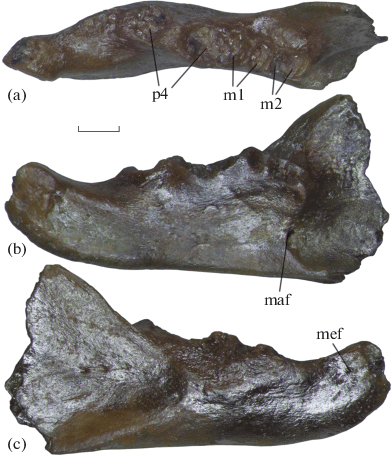 figure 27