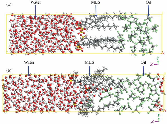 Molecular Dynamics Simulation Of Methyl Ester Sulfonates At The Water Chloroform Interface Springerlink