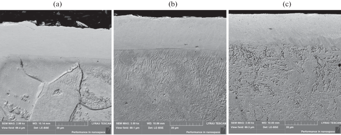 Effect of the Elemental Composition of Steels on the Structure and ...