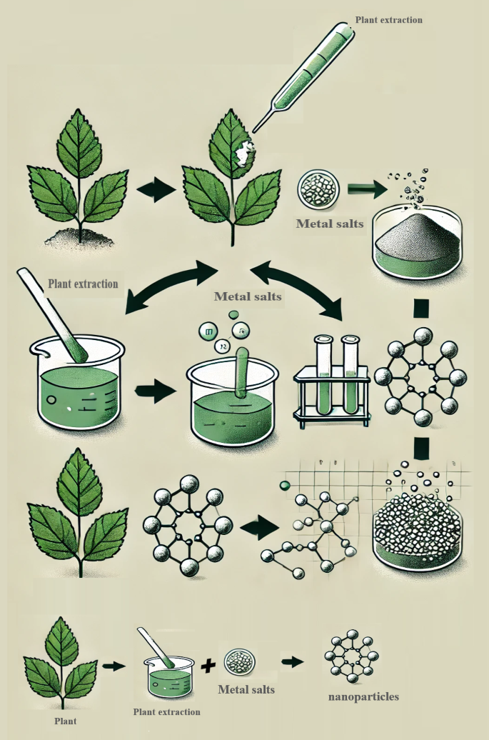 Green Synthesis of MgO, ZnO, Ag, and Au Nanoparticles Using Plant ...