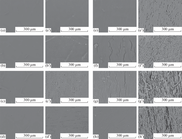 Formation Of Porous Films With Hydrophobic Surface From A Blend Of Polymers Springerlink
