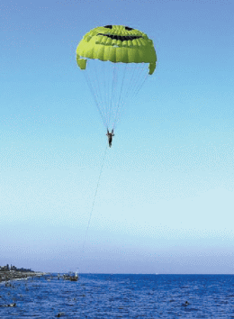 Image Captioning Using Reinforcement Learning With Bluder Optimization Springerlink Image Captioning Using Reinforcement Learning With Bluder Optimization Springerlink