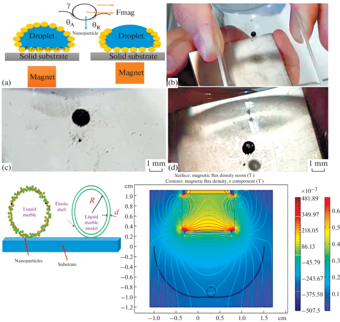 Magnetic liquid marble characteristics: a Magnetic liquid marble on