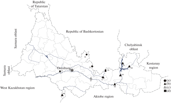 The world's first bat net for migrating bats is launched in Latvia