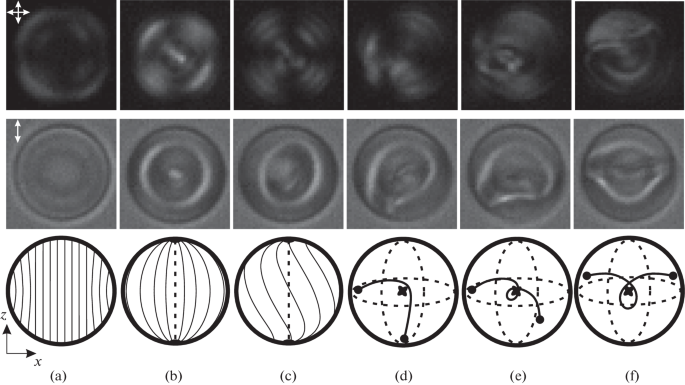 Electric Field-Induced Dynamics of Topological Loops in Chiral Nematic ...