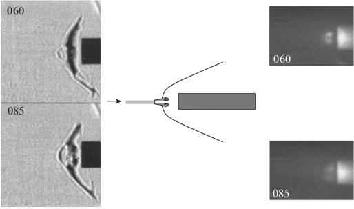 figure 31