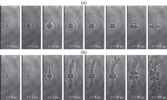 figure 32