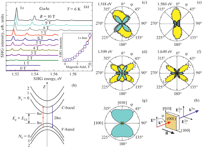 Magnetic Field Effects in Optical Harmonics Generation by Excitons | Physics of the Solid State | Springer Nature Link Magnetic Field Effects in Optical Harmonics Generation by Excitons | Physics of the Solid State | Springer Nature Link