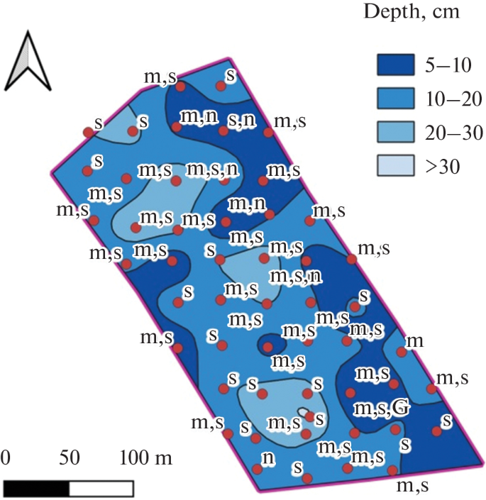 Assessment of Spatial Heterogeneity of Soil Properties upon Monitoring ...