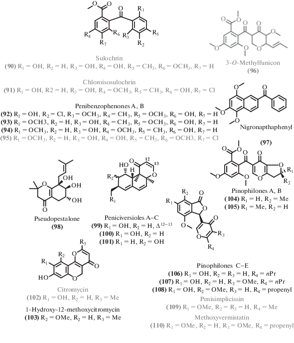 Antibiotics From Extremophilic Micromycetes Springerlink