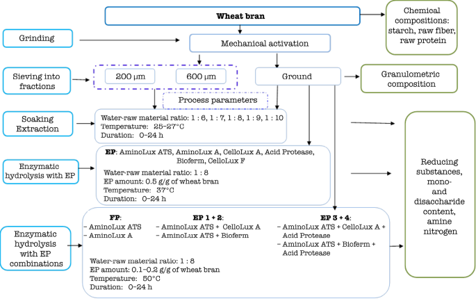 Efficiency of Conversion of Wheat Bran Biopolymers by a Complex of ...