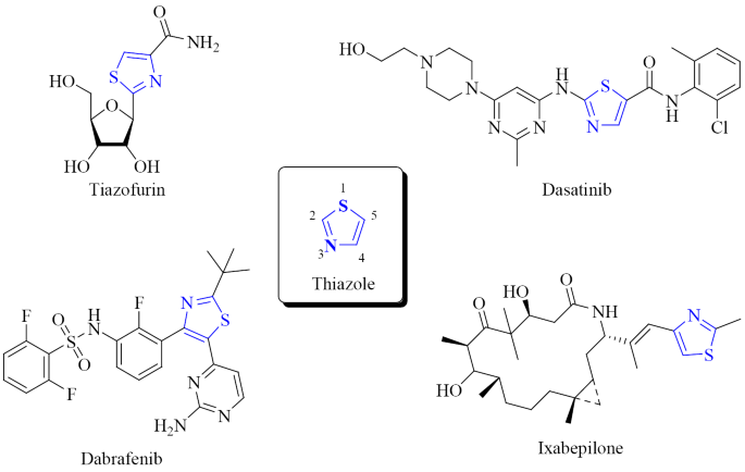 Design and Synthesis of Novel Betulin Derivatives Containing Thiazole ...