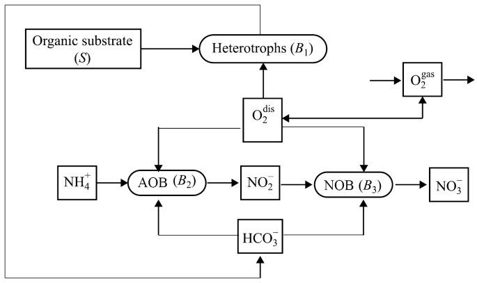 Nitrification O2 Mathematical Description of Nitrification in Rivers: The Key Role of ...