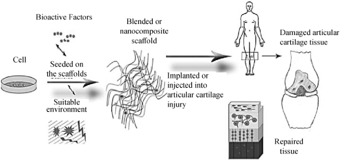 Nanofibers for Biomedical and Healthcare Applications - Rasouli