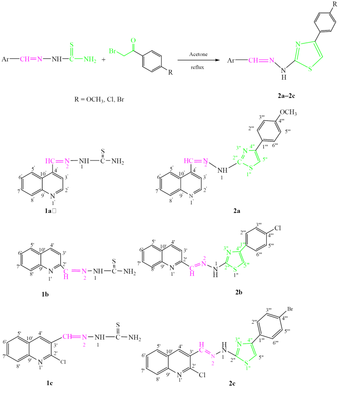 Synthesis, Bioactivity Screening, and Molecular Docking Studies of Some ...