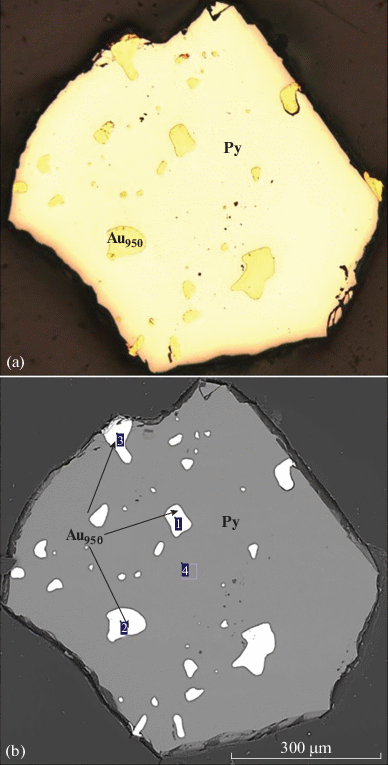 Gold And Silver Minerals In Sulfide Ore Springerlink Gold And Silver Minerals In Sulfide Ore Springerlink