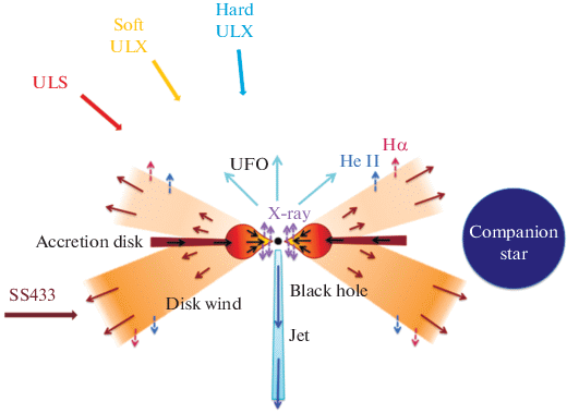 Ultraluminous X Ray Sources Springerlink Ultraluminous X Ray Sources Springerlink