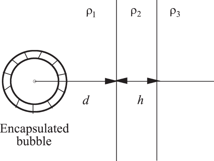 Wave Dynamics of a Gas Bubble Covered by an Anisotropic Shell Near a ...
