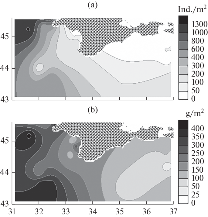 The genera of sea‐snakes of the Hydrophis group(Serpentes: Elapidae) -  McDowell - 1972 - The Transactions of the Zoological Society of London -  Wiley Online Library