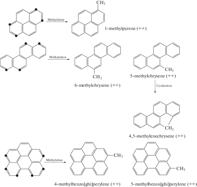 The Structural Basis for the Production of Cancer and Detoxification by  Oxidized Metabolites of Mesoanthracenic Methylated and Non-Methylated Polynuclear  Hydrocarbons: a Paradigm Shift | SpringerLink