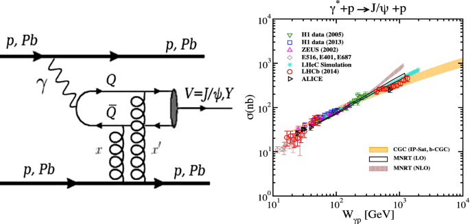 figure 114