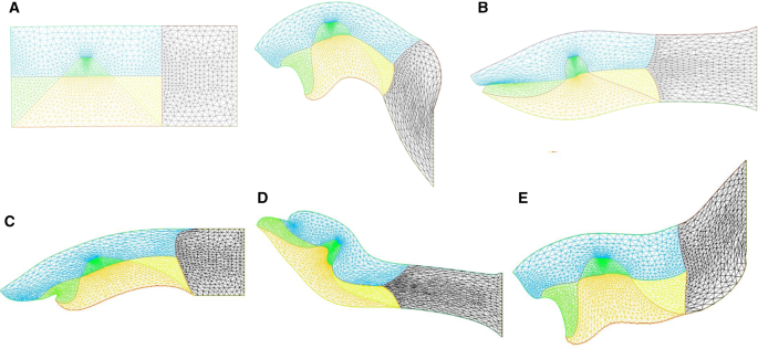 figure 12