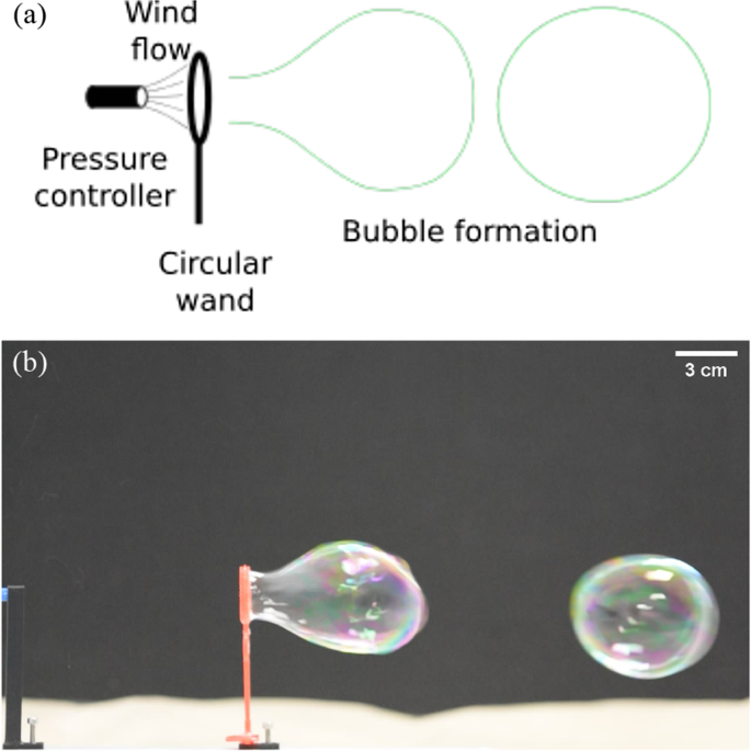 Physics of Giant Soap Bubbles