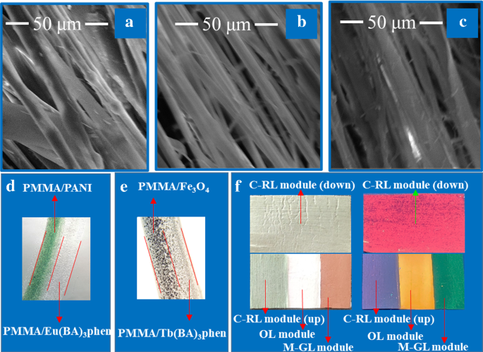 Modular Multifunctional Janus Structure Film Offering Multiple Anisotropic Conduction Polychromatic Luminescence And Tuned Magnetism Springerlink