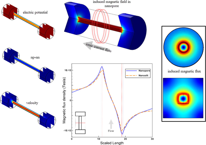 Ionic current magnetic fields in 3D finite-length nanopores and nanoslits |  SpringerLink