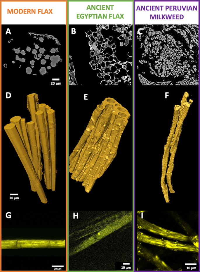 Bast from the past: the fibre architectures and properties of Ancient  Egyptian and Peruvian fishing nets | The European Physical Journal Plus |  Springer Nature Link
