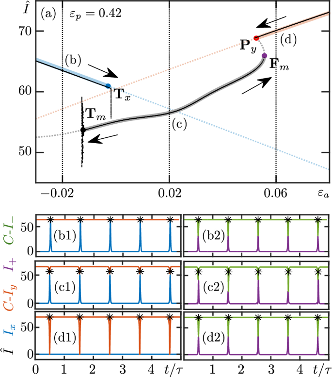 Strongly resonant polarization dynamics of pulse trains in a spin-flip ...