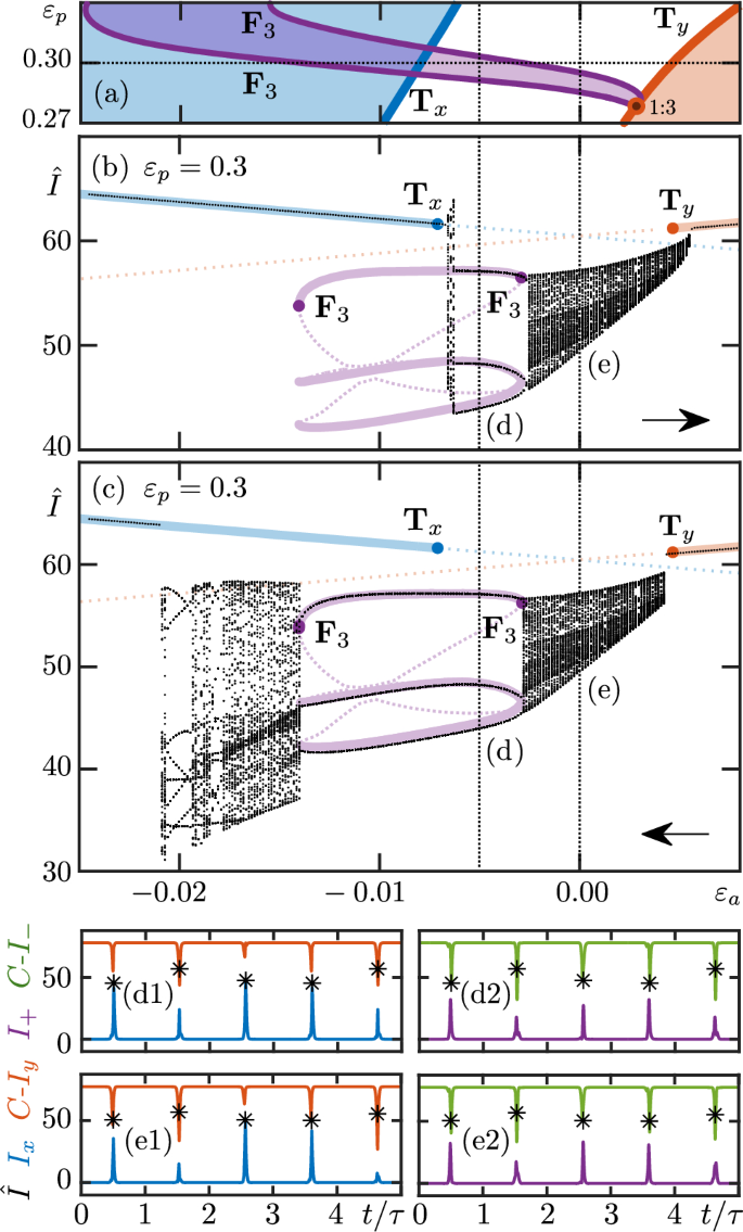 Strongly resonant polarization dynamics of pulse trains in a spin-flip ...