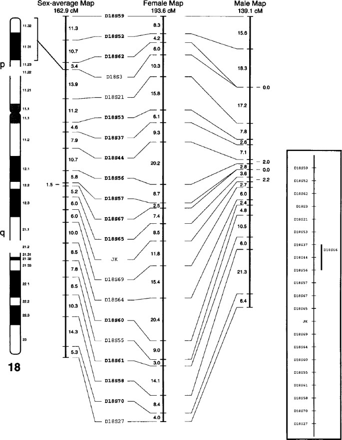 European Gene Mapping Project Eurogem Genetic Maps Based On The Ceph Reference Families European Journal Of Human Genetics