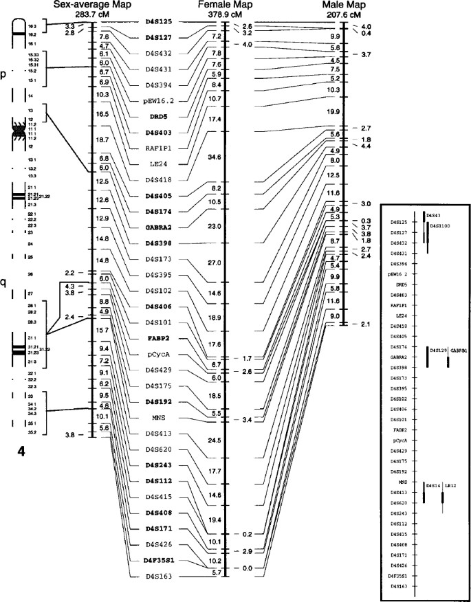 European Gene Mapping Project Eurogem Genetic Maps Based On The Ceph Reference Families European Journal Of Human Genetics